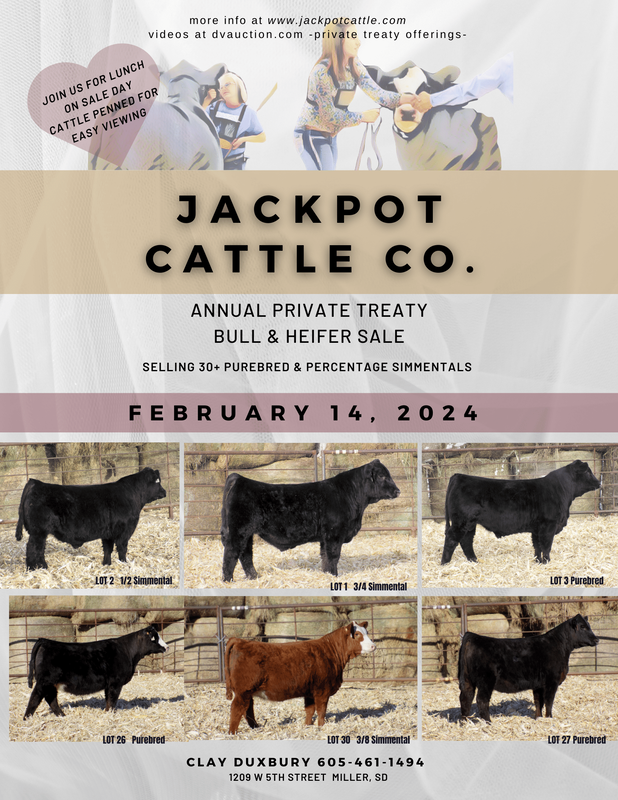 Join Jackpot Cattle Company near Miller, South Dakota on February 14, 2024 for our annual bull and heifer sale.